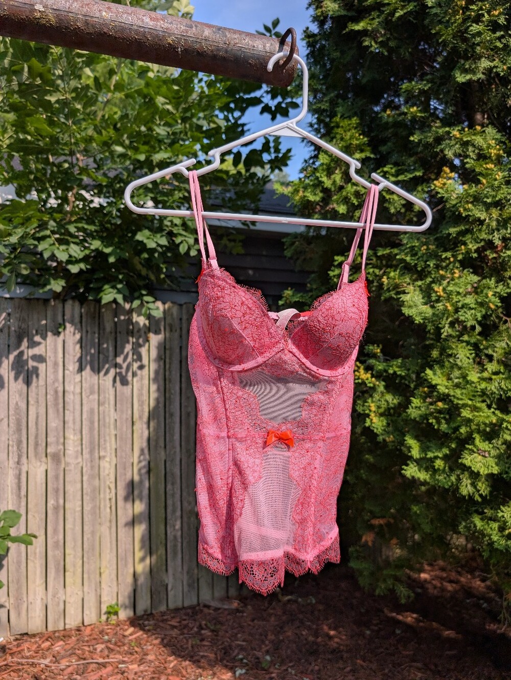 Victoria's Secret Pink Lace Bustier Corset  Size 34C